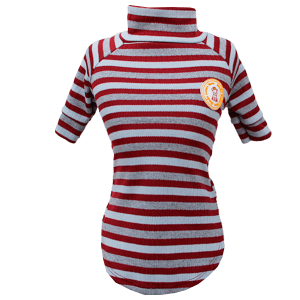 Camiseta Canelada Suedine Listrada Marsala
