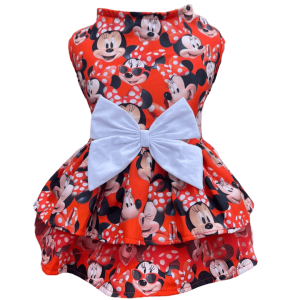 Vestido Minnie Óculos